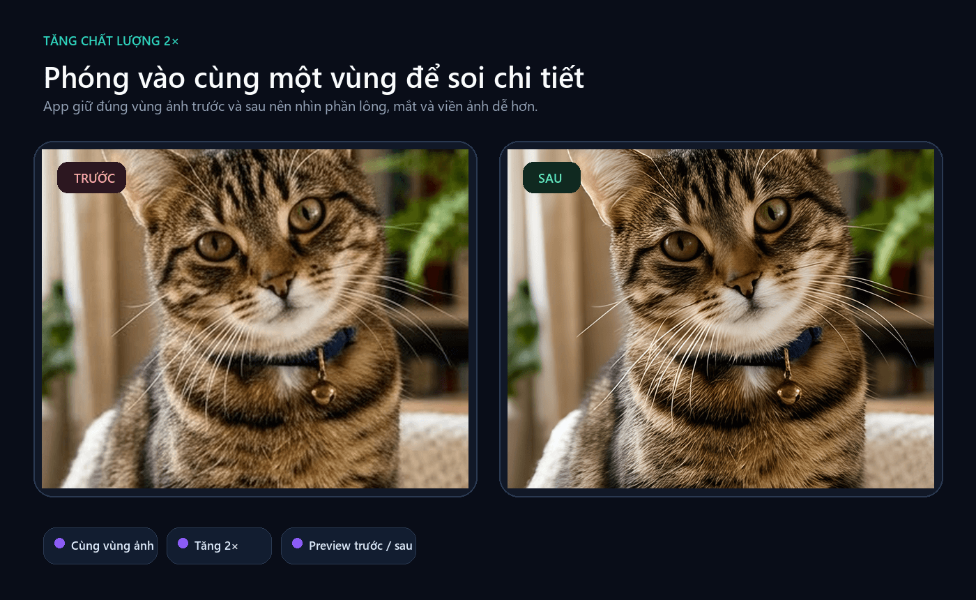 Ảnh trước và sau khi tăng chất lượng hai lần